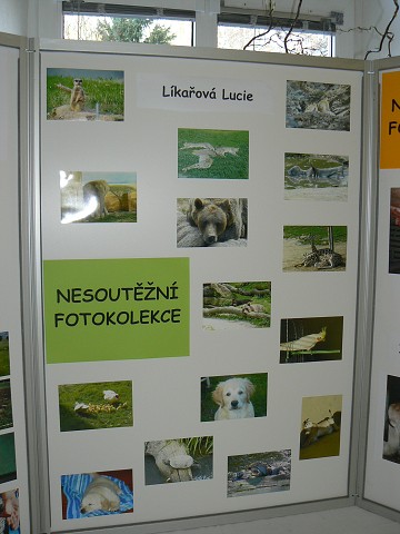 img00013.jpg