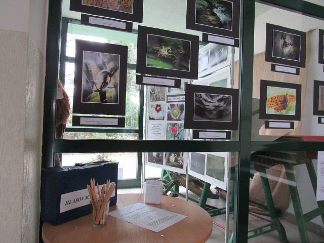 img00029.jpg