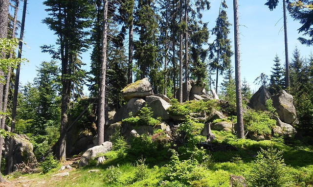 img00082.jpg