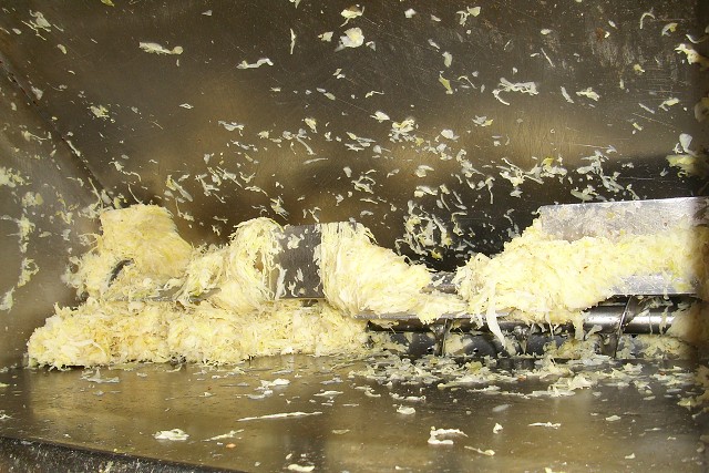 img00051.jpg