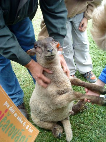 img00010.jpg