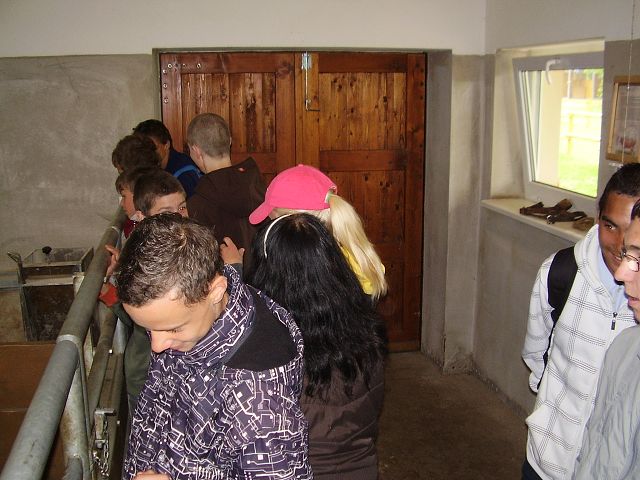 img00019.jpg