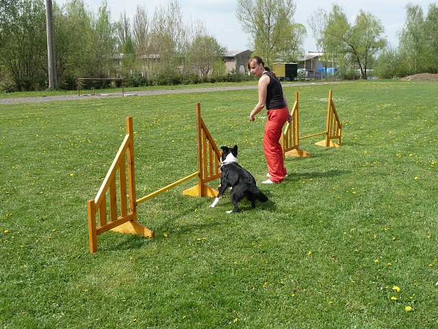 img00116.jpg