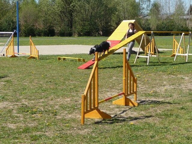 img00147.jpg