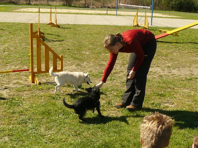 img00171.jpg