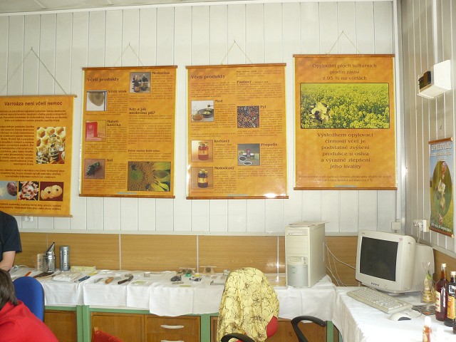 img00262.jpg