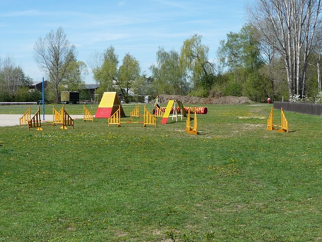 img00437.jpg