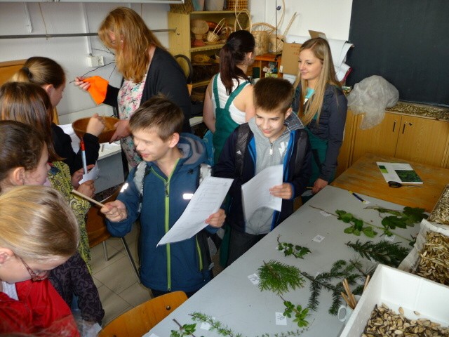 img00092.jpg
