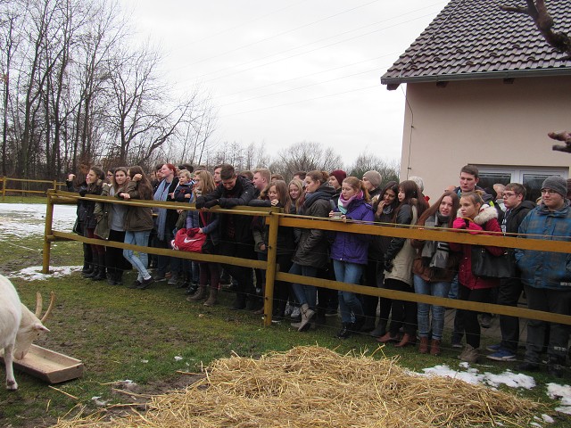 img00009.jpg
