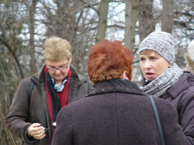img00035.jpg