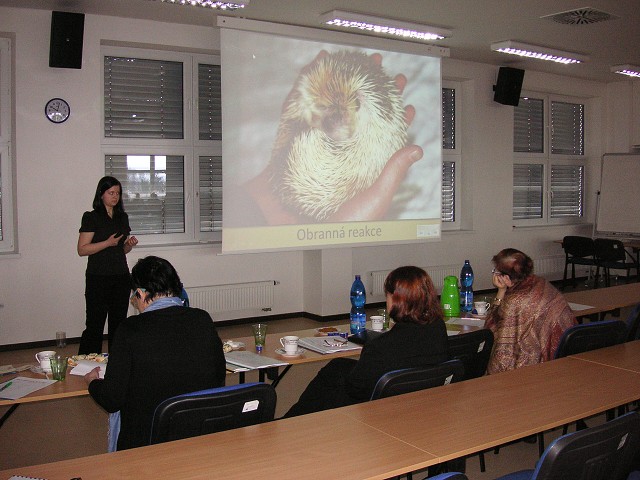 img00017.jpg