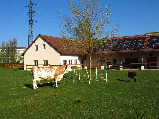 foto školy