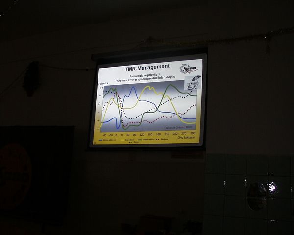 img00011.jpg