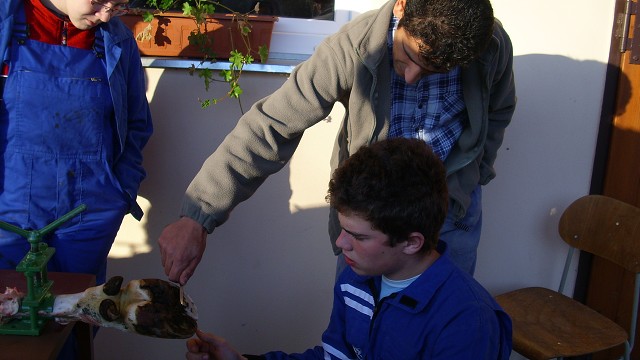 img00016.jpg