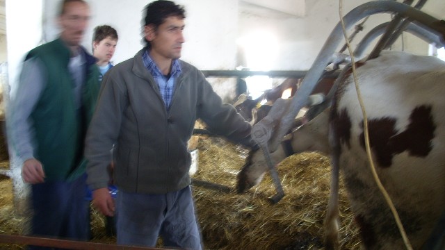 img00048.jpg