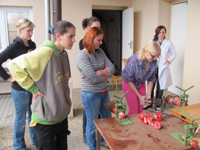 img00010.jpg