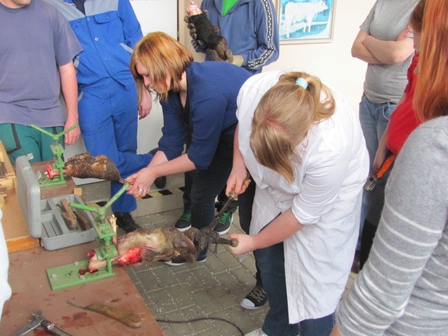 img00014.jpg