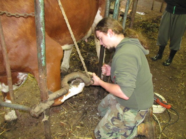 img00069.jpg