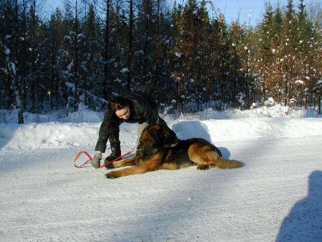 img00009.jpg