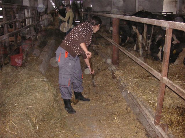 img00025.jpg