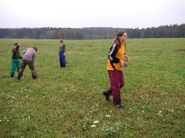 img00007.jpg