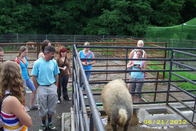 img00025.jpg