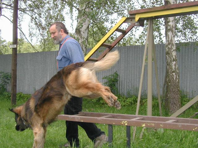 img00049.jpg