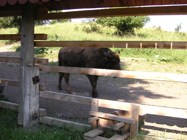 img00020.jpg