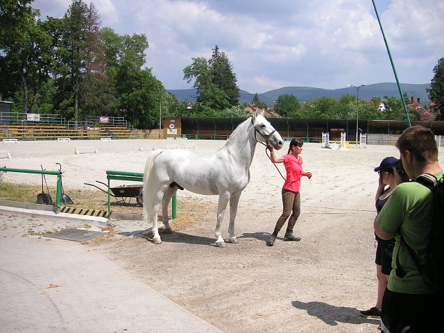 img00059.jpg