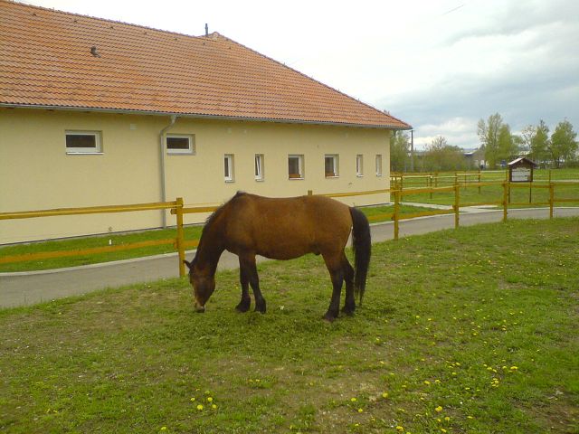 img00025.jpg
