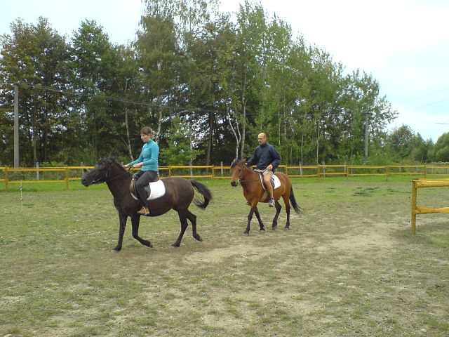 img00068.jpg