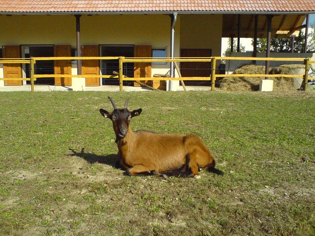 img00107.jpg