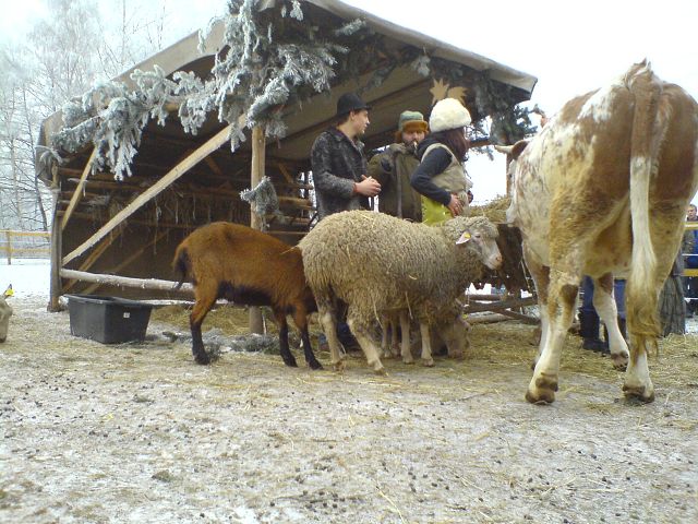 img00177.jpg