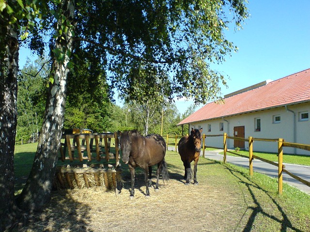 img00215.jpg