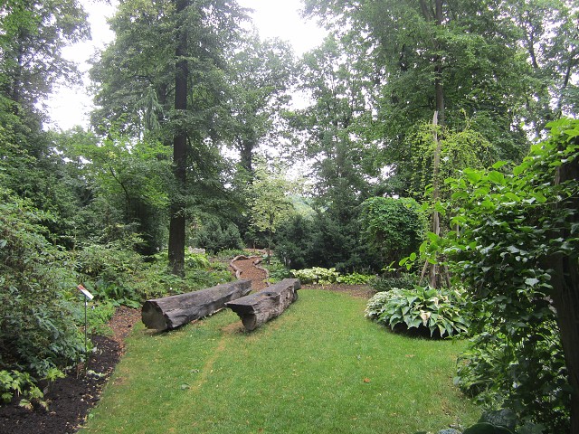 img00071.jpg