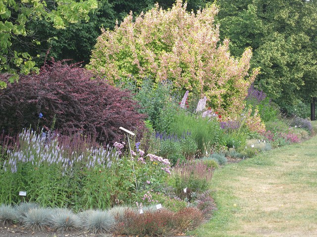 img00088.jpg