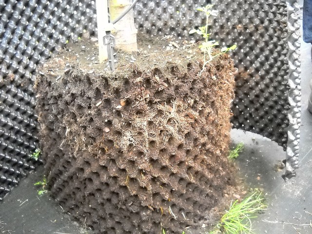 img00030.jpg
