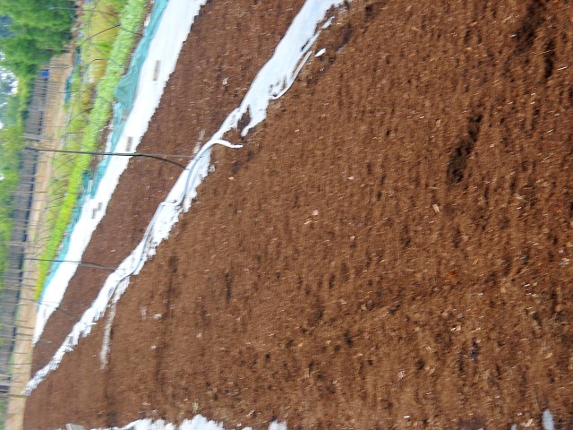 img00048.jpg