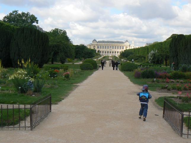 img00019.jpg
