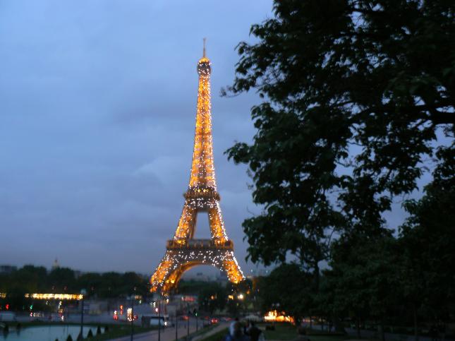 img00219.jpg