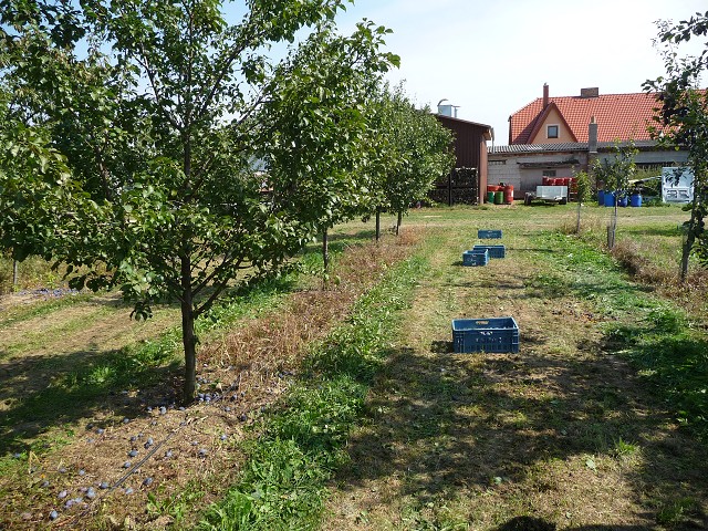 img00021.jpg