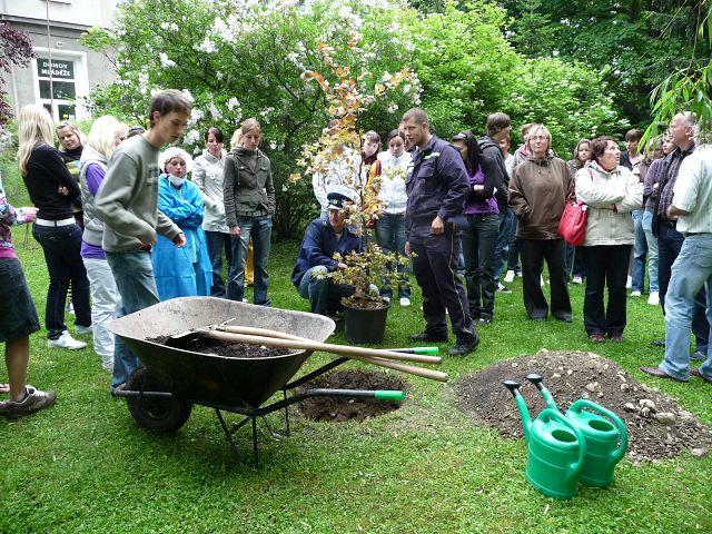 img00005.jpg