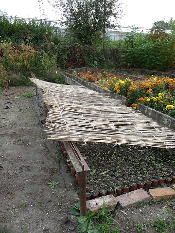 img00017.jpg