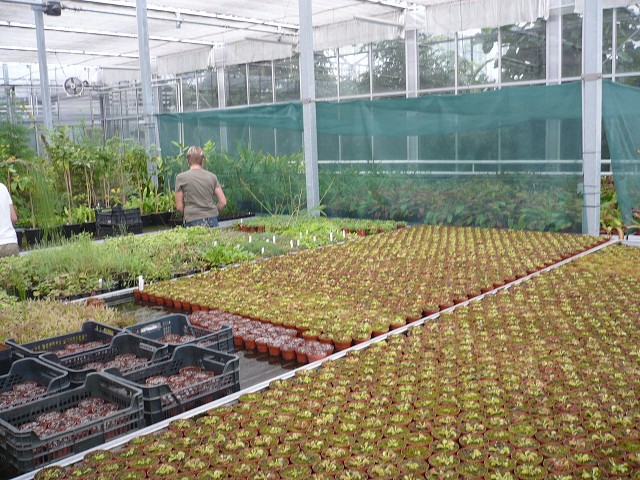 img00068.jpg