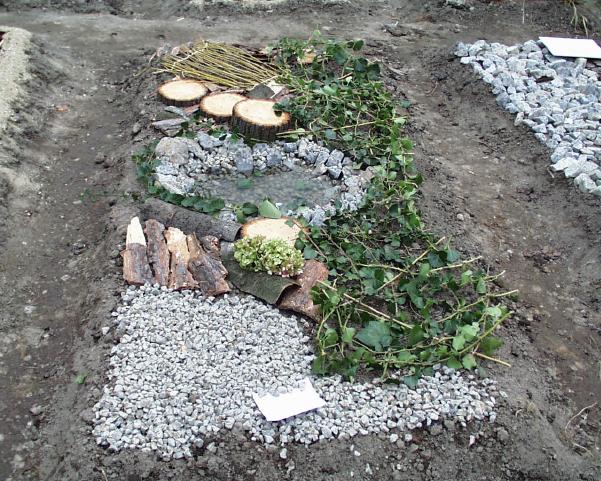 img00019.jpg