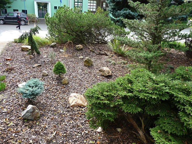 img00002.jpg