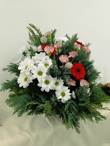 img00014.jpg