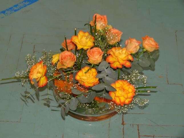img00009.jpg