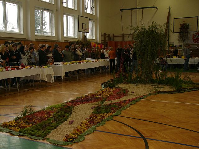 img00021.jpg