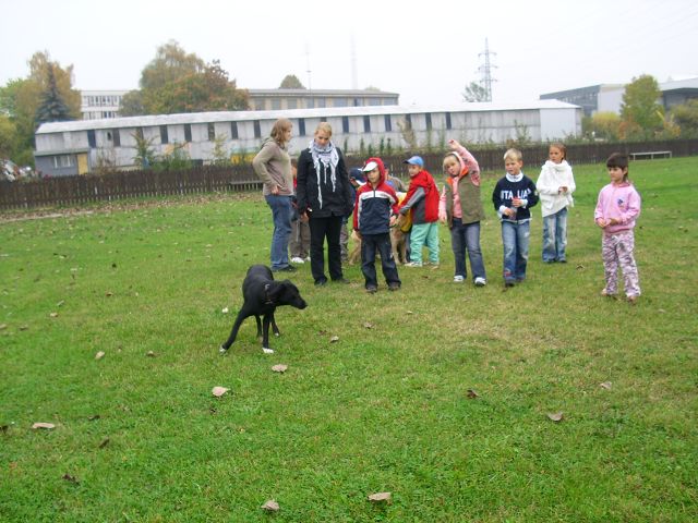 img00304.jpg